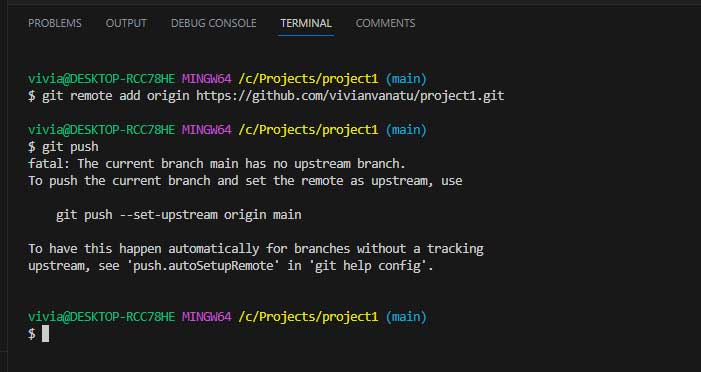 Git push error when running for the first time in a local repo